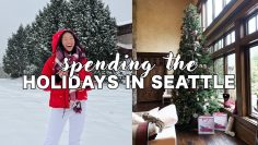 SEATTLE FOR CHRISTMAS! December Vlog + Revolve Try On Haul!