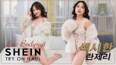 LACE BODYSUIT ♡ 섹시 란제리 , 속옷 룩북 LINGERIE HAUL | SHEIN TRY ON HAUL