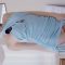 (4K 세로룩북) 레이싱모델 장미 하늘색 원피스 룩북 / 언더웨어 란제리 룩북 직캠 Mini Dress Try-On underwear Lookbook